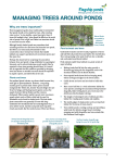 1. understanding ponds - Freshwater Habitats Trust