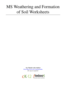 MS Weathering and Formation of Soil Worksheets