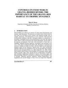 controls on food webs in gravel-bedded rivers