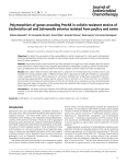 Polymorphism of genes encoding PmrAB in colistin