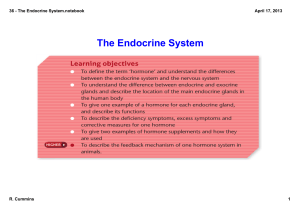 The Endocrine System.notebook