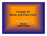 Chapter 03 Water and Plant Cells