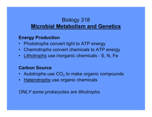 Microbial Metabolism and Genetics Energy Production
