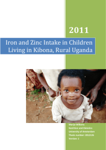 Iron and zinc intake in children living in rural Uganda