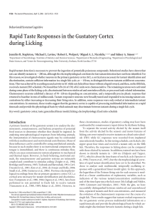 Rapid Taste Responses in the Gustatory Cortex