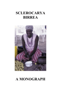 Sclerocarya birrea: a monograph