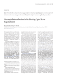 Neutrophil Contribution in Facilitating Optic Nerve Regeneration