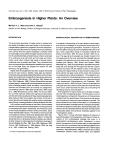 Embryogenesis in Higher Plants: An Overview