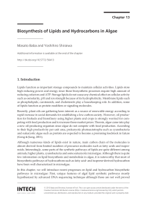 Biosynthesis of Lipids and Hydrocarbons in Algae