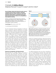 Chromatin: A sticky silence