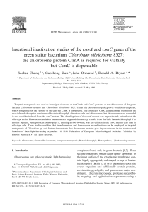 Insertional inactivation studies of the csmA and csmC genes of the