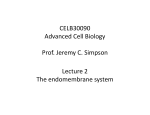 CELB30090 Advanced Cell Biology Prof. Jeremy C