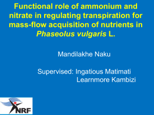 Functional role of ammonium and nitrate in regulating transpiration