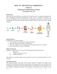 BIOL 157 – BIOLOGICAL CHEMISTRY I Lecture 1 Elemental