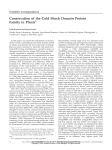 Conservation of the Cold Shock Domain Protein