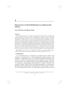 Fluorescence In Situ Hybridization in Cardiovascular Disease