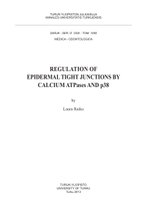 Regulation of epidermal tight junctions by calcium ATPases