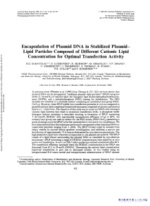 Encapsulation of Plasmid DNA in Stabilized Plasmid – Lipid