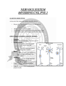 NERVOUS SYSTEM