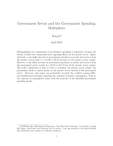 Government Sector and the Government Spending Multipliers