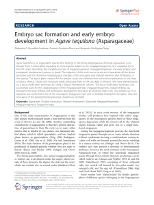 Embryo sac formation and early embryo development inAgave