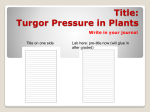 Title: Turgor Pressure in Plants - Flipped Out Science with Mrs