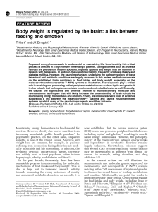 Body weight is regulated by the brain: a link between feeding and