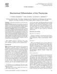Biochemical Differentiation of the Porphyrias