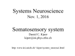 Somatosensory system.