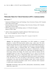 Molecular Basis for Chiral Selection in RNA Aminoacylation