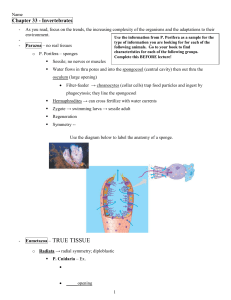 Chapter 33 Guided reading