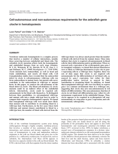 Dual function for cloche in hematopoiesis - Development