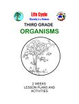 organisms - Math/Science Nucleus