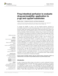 Frog intestinal perfusion to evaluate drug permeability: application to