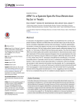 XRN1 Is a Species-Specific Virus Restriction Factor in Yeasts