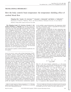 How the body controls brain temperature: the temperature shielding