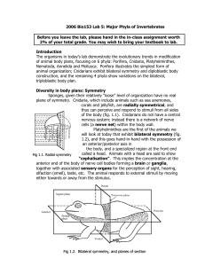 2006 Bio153 Lab 5: Major Phyla of Invertebrates Before you leave