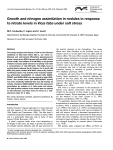 Growth and nitrogen assimilation in nodules in