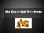 NW Six-Essential-Nutrients-PPT-2