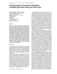 Phosphorylation-Dependent Regulation of Septin