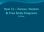 Forces: Vectors and Free Body Diagrams