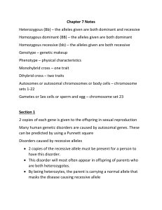 Chapter 7 Notes Heterozygous (Bb) – the alleles given are both