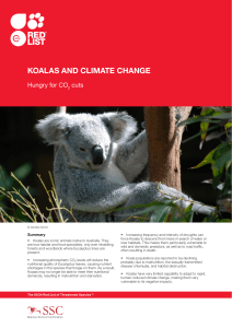 KoalaS and Climate Change