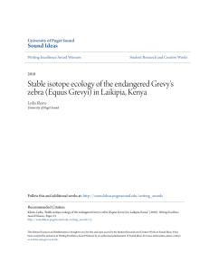 Stable isotope ecology of the endangered Grevy`s zebra