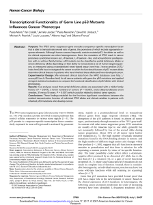 Transcriptional Functionality of Germ Line p53 Mutants Influences