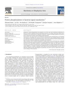 Protein phosphorylation in bacterial signal transduction