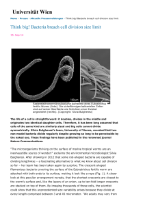 Think big! - Division of Archaea Biology and Ecogenomics