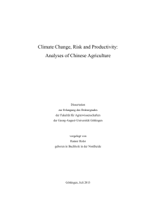 Climate Change, Risk and Productivity: Analyses of Chinese