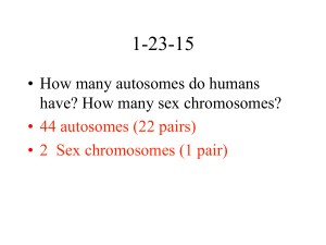 2 Sex chromosomes