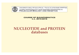 NUCLEOTIDE and PROTEIN databases